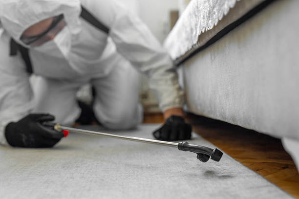 Professional Cockroach Control technician working in Barron County County, WI